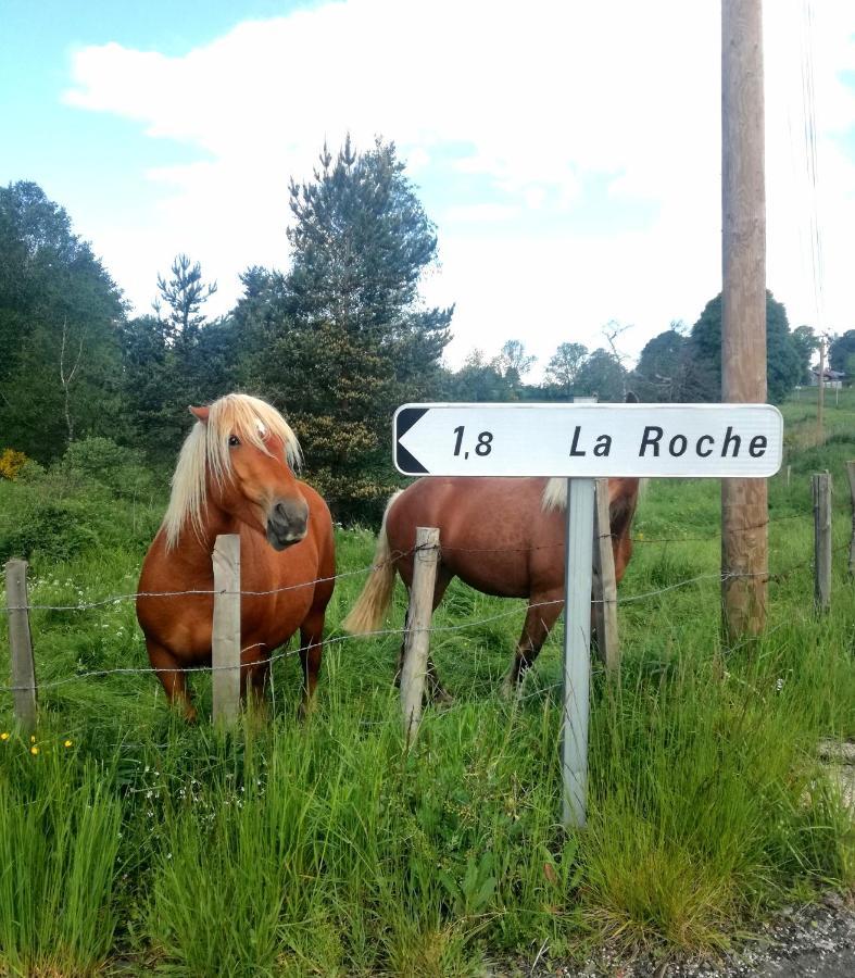 Chez Romu * Rieutort